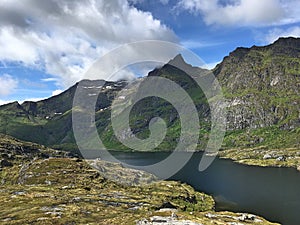 Green Fjords in the end of the Lofoten archipelago in Norway