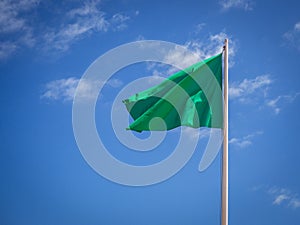 Verde bandera ondulación 