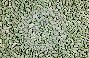 Green flageolet beans background