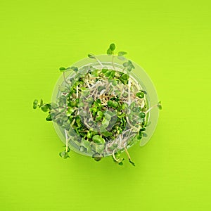 Green flat lay vegetables concept. micro greens