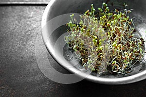 Green flax sprouts in a bowl Healthy Eating