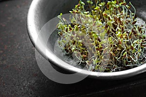 Green flax sprouts in metal bowl