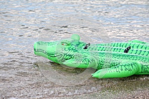 Green floater crocodile