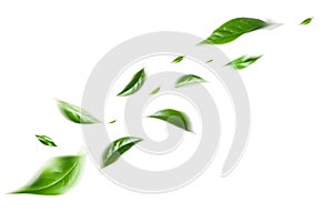 Green Floating Leaves Flying Leaves Green Leaf Dancing, Air Purifier Atmosphere Simple Main Picture