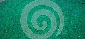 green floor carpet , green floor carpet