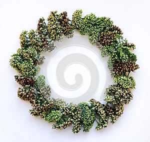 Green floral wreath frame on white background. Flat lay, top view, autumn or winter decoration