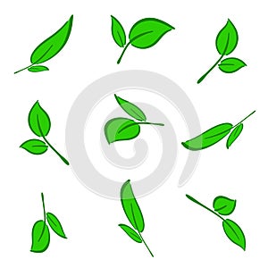 Green flower leaves. Pattern. number2