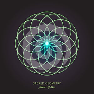 Green flower of Life. Sacred Geometry. Symbol of Harmony and Balance. Vector Illustration
