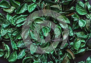 Green flower petals, on a black background. photo