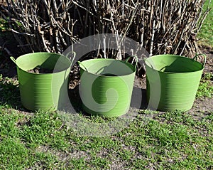 Green flower pots in a row