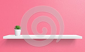 Green flower in white pot on white wooden texture shelf with pink concrete texture wall in background.