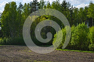 Green flowering deciduous forest landscape with plowed agricultural field under blue cloudy sky