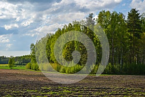 Green flowering deciduous forest landscape with plowed agricultural field under blue cloudy sky