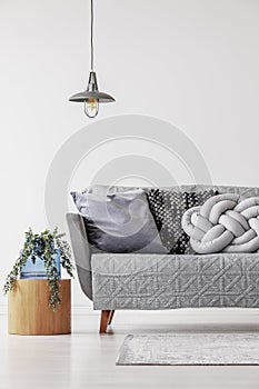 Green flowers in blue glass vase on wooden table next to grey sofa with pillows