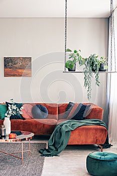 Green flowers on stylish swing in classy living room interior with corner sofa with pillows