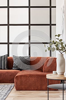 Green flowers in white vase on wooden coffee table in classy living room