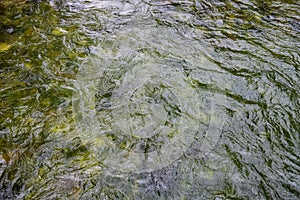 Green flowing water of the Gallatin River, as a nature background, Big Sky, Montana photo