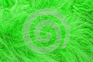 Green fluffy wool texture, animal wool background, painted fur texture closeup