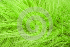 Green fluffy wool texture, animal wool background, painted fur texture closeup