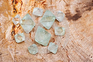 Green Fluorite Natural Octahedron Crystals on Natural Polished Petrified wood slab