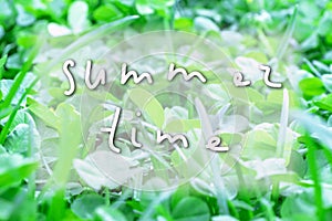 Green foliage background with a sign summer time