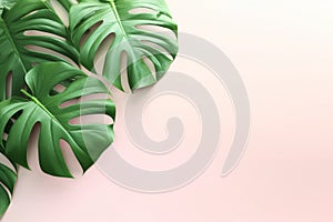 Green Foliage with copyspace, Lush Monstera Leaves on a Delicate Pastel Background. Generative ai