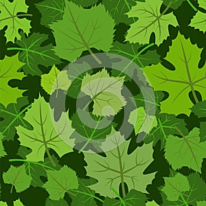 Green Foliage. Seamless pattern with maple leaves. Summer background. Vegetable illustration. Vector