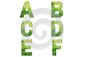 Green font Alphabet a, b, c, d, e, f made of fresh grass background.