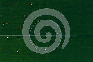 Green football stadium field. Aerial top view. Soccer players