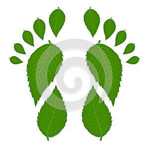 Green footprint