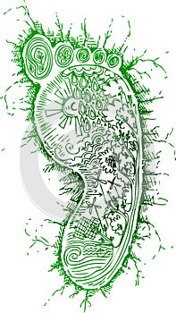 Green footprint vector