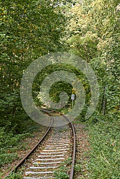 Green Forest. Abandoned railway. Railway in the woods. Beautiful view of nature. Landscape photo of green forest. Forest nature on