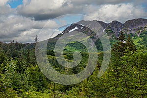 Green forest above Girdwood, Alaska, USA