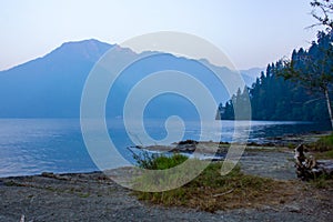 Green forest along side deep blue lake waters