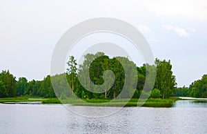 Green forest area washed on both sides by the river