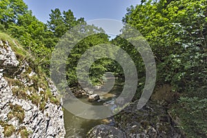 Green forest around Erma River Gorge