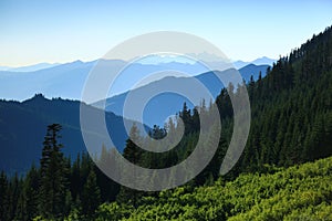 Green forest with blue mountains in the background.