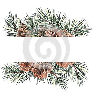 Green forest frame with pine branches and cones.