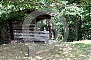 The Forest of Friedrichroda in Thuringia with sun