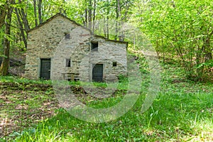 Green forest hues with filtered sunlight and old stone cottage