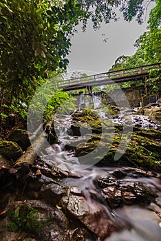 Green Forest with mini waterfall at batam bintan indonesia photo