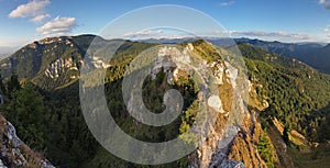 Green forest in mountain panorama