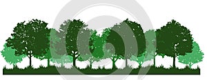 Green Forest Oak Tree Silhouette Clipart