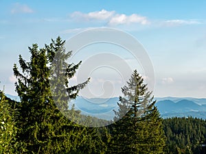 Green forest of pine tree and mountain landscape. Giant Mountains, Karkonosze, Sudets/Sudety, Poland.