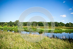 Green Forest and River