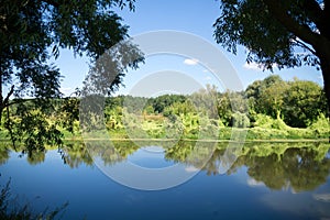 Green Forest and River