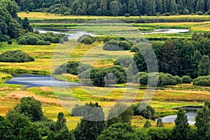 Green forest with river meanders. Typical landscape around Vltava river near Lipno reservoir, Sumava national park in Czech