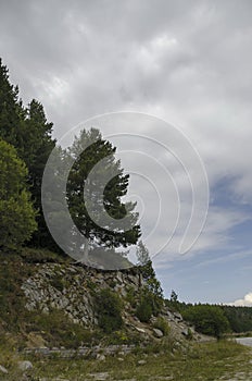 Green forest on rocky hill and road near by hija or rest-house Aleko photo