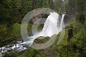 Green Forest Spring Flow McKenzie River Sahalie Falls