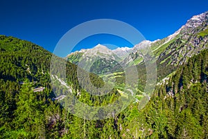 Green forest and Swiss Alps on the top of Malojapass